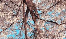 展现个性的霸气队名和富有魅力的口号