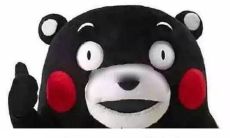 照片中的冬日景色:记录下寒冷季节的美妙瞬间