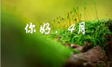 每年四月的祝福短信:描绘春季美景,分享温暖亲情,传递健康祝福和愉悦心情的短信寄语!
