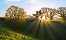 收集了上百条励志句子，帮你激发内心力量，成为自己生命中的主角