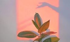 揭开生活真相的惨烈毒鸡汤：荡气回肠、深入灵魂的启示性文字！