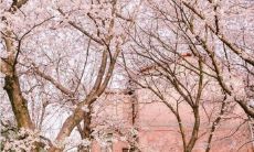 无忧无虑的时光里,幸福才是真正的风景:一组让人感到唯美快乐的句子