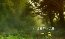 每日早晨励志鸟句,打开能量宝藏!