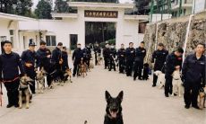 展现对警察无限敬意的经典语句,用于庆祝警察节的社交媒体文案分享