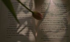 惊艳而简短的文案:探究几个在字数不多却营销效果惊人的案例