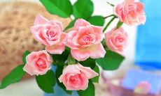 每周一次的定期客户问候短信：为您送上最新的信息和关怀！