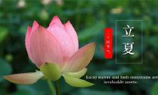以温馨的图片短句传送立夏问候,让您倍感温暖!