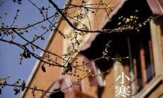 从历史到文化、从气象到民俗——探究小寒的全面内涵