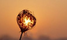 探索QQ空间中那些令人感动的、饱含情感的情话,让你心灵受到深深触动的故事和感人经历