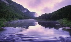 凝聚美学与心灵，呈现大自然之美的艺术语言：50个引人入胜的描写自然的句子