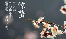 惊蛰来袭！朋友圈上热议春天的到来，分享踏青、赏花、野餐的美好时光！