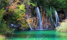 初夏之际,流淌着温馨绵长的友情:一句话记录一段过往,一片青翠承载一份真挚,永葆心灵的清新感动