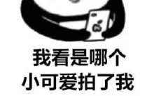 有趣又可爱的微信拍一拍搞笑后缀，让您的聊天更有趣！