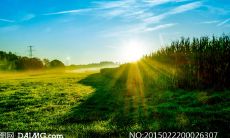 一些能够振奋人心的关于早晨的励志句子，帮助你开启美好一天的新起点