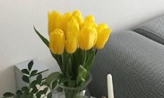 探索人生道路中最有意义的座右铭：对自己的成长与充实有着重要意义的源泉！