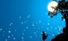 述说心情——唯美句子表达关于月亮的情感与想法