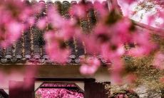 不刻意求变，以随缘为座右铭，接受生活的差异和不确定性的哲学主义