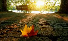 我们的人生旅途,注定要走过无数条路程