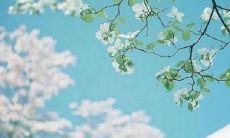 一句充满亲情和母爱的长句子