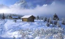 说说心情的有深意的亲情句子:感受家人之间的情感纽带