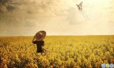 悲伤之中蕴藏着美妙的诗情：抒发心酸之句