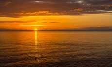 一种在周日晚上送上的含义深远的问候短信方式