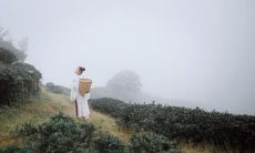 关于做人的深刻格言和有启发性的引言，让我们学会如何成为一个道德高尚、善良纯洁、勇敢坚定的人！