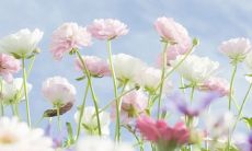 用感人的句子描述亲情的美好之处