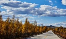 分享一些经典的关于亲情的句子,表达内心的情感