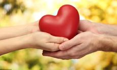 以含有“感恩老师”的句子为核心,使用花相关的词汇进行改写,制造一个拉长标题的效果:感恩老师的辛勤付出,如同一朵含苞待放的花儿般,我们永远铭记!