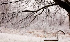 即便风霜遍布前方道路，我们也要勇往直前，携风破浪高歌一路前行