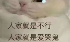 让您眼前一亮、忍俊不禁的文案,一看就能让您笑声不止!