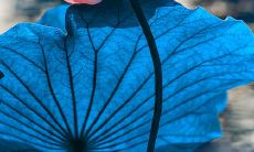 结伴划独木舟的伙伴们之间不可或缺的友情句子