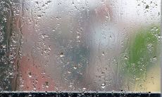 承载冬雨情感的美丽句子，尽显冬日温暖之情