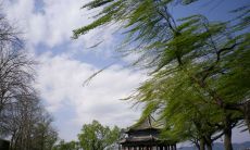 无论是山顶的呼啸还是海角的咆哮，这些形容风大的句子能够让你感受到大自然的威力