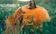 精心选出的词语和短语，带给你温馨的感受——一个关于十一月问候语的精彩句子集锦