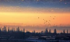 揭示家庭情感的动人短语