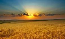 享受收获的季节——唯美描写秋天的句子