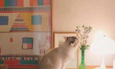 揭秘最经典的“毒鸡汤”金句,每句句现实讽刺让你深思社会真相