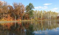 昨天的懊悔与反思:探讨关于后悔的名言、格言、句子及其启示与哲思