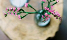 从生活中获得启发的、简短而有深度的人生感悟句子