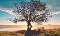 夫妻生活虽平凡却至为美好的一句话