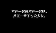 感到悲痛无奈的情绪表达出的无法言喻的惆怅与失望