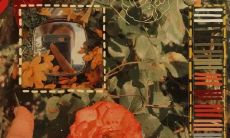 令人一见倾心的、让人心动不已的引言句子