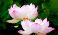 建立自律意识的经典座右铭,给你带来更加规律有序的生活!