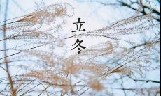 追寻立冬季节的美好情感,探寻唯美至深的立冬句子