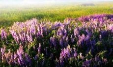 独具创意的创业团队名称和令人难忘的口号:如何设计让人印象深刻的创业品牌身份?