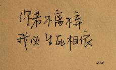 感人至深的“不离不弃”句子,令人动容不已