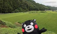 精心选取的优美励志短语，激发内在力量并激励实现目标！