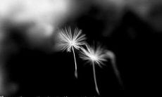 痛失初恋，沉浸于失望与心痛之中，感到被深爱的人抛弃与背叛的无助和绝望